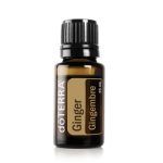 Gingembre